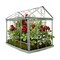 Northlight Cardinal Boxwood Artificial Christmas Greenhouse Arrangement - 9" - Red and Green